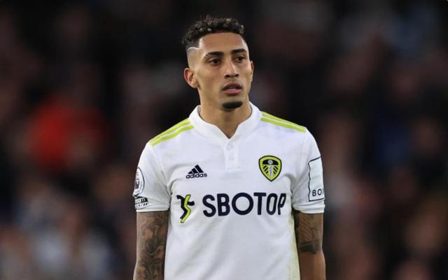 非凡潜力的 非凡潜力的